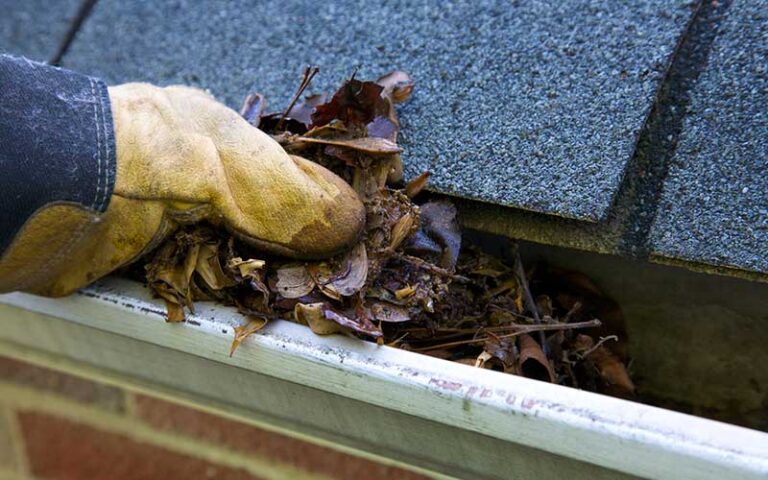 Gutter Cleaning and Inspection